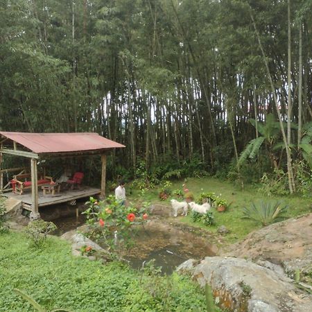 Finca Exclusividad Familiar O Grupo De Amigos Capacidad Hasta 12 Personas Calles En Placa Huella, Caminata Ecologica Alban  المظهر الخارجي الصورة