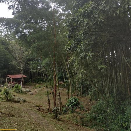 Finca Exclusividad Familiar O Grupo De Amigos Capacidad Hasta 12 Personas Calles En Placa Huella, Caminata Ecologica Alban  المظهر الخارجي الصورة