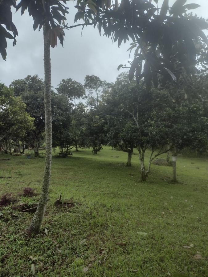 Finca Exclusividad Familiar O Grupo De Amigos Capacidad Hasta 12 Personas Calles En Placa Huella, Caminata Ecologica Alban  المظهر الخارجي الصورة