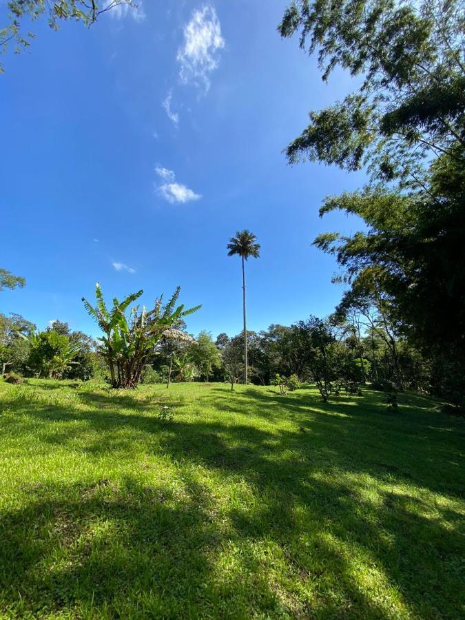 Finca Exclusividad Familiar O Grupo De Amigos Capacidad Hasta 12 Personas Calles En Placa Huella, Caminata Ecologica Alban  المظهر الخارجي الصورة